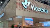 Woodside Energy cash flow outlook sparks concern about future payouts vs growth