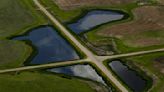 The US is losing wetlands at an accelerating rate − here’s how the private sector can help protect these valuable resources