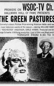 The Green Pastures