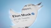 Elon Musk：新版 Twitter Blue 認證方案 11 月 29 日重新上線