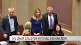 Minnesota DFL Chair calls for Mitchell Resignation