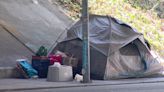 Sonoma County homeless count shows 11% increase from last year as new program launches to address need