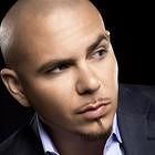 Pitbull