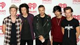 Louis Tomlinson admits a One Direction reunion is 'hard to imagine right now'