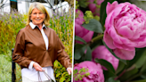 Martha Stewart reveals the secrets of her cut flower garden – and how you can create your own