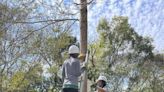 二水生態教育館轉型成野生動物保育基地