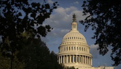 Secret Service director to testify on Trump shooting next week