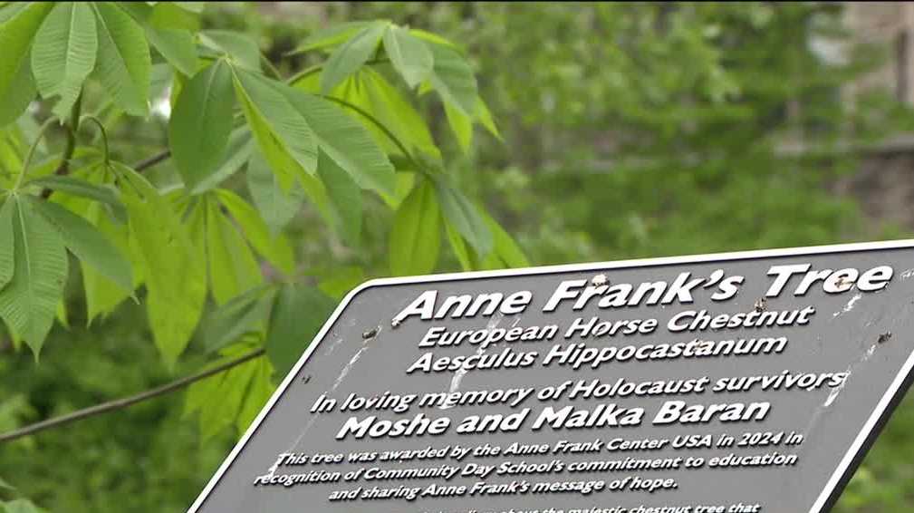 Squirrel Hill school plants sapling of Anne Frank's chestnut tree in honor of 2 Holocaust survivors