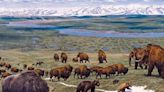Could Alaska once again be home to woolly mammoths? This reporter had to find out.