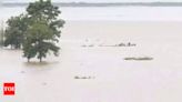 Flood situation in Assam's Nagaon continues to be grim, thousands leaving homes for safety | Guwahati News - Times of India
