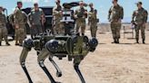 One-third of all US military will soon be AI-powered robots, predicts retired top army general