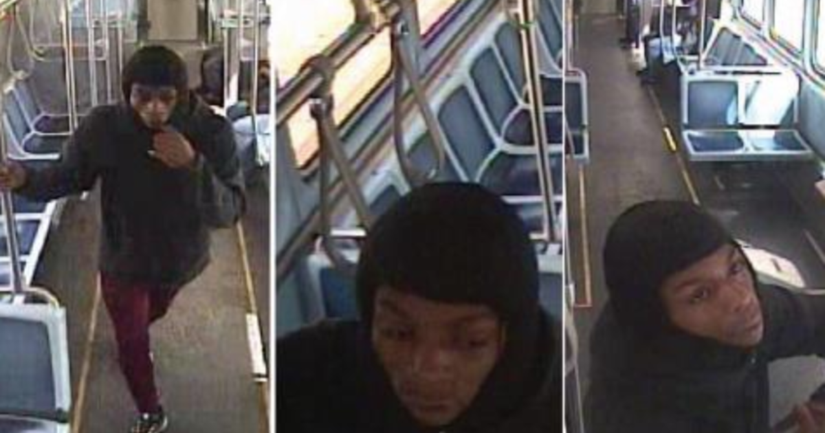 Chicago police seek to identify man in alleged armed robbery on CTA Red Line train