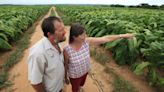White farmers in Zimbabwe live and die with the toxic legacy of Mugabe’s brutal land grab