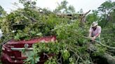 Where to dump tree debris after storm in Topeka