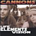 Life-Elements-Vision