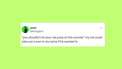 23 Of The Funniest Tweets About Cats And Dogs This Week (April 27-May 3)