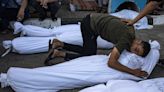 Israel 'stealing organs' from bodies in Gaza, alleges human rights group