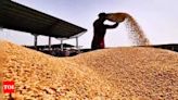 Iraq has procured 1.5 million tons of wheat this year - Times of India