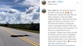 ‘We don’t want to proceed to the route’: See a giant python cross the road in Florida