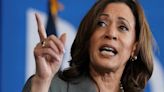 Encuestas: Kamala Harris la favorita entre la mayoría de los demócratas