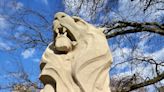 Rowwrrr! Lions get a makeover at Summit County Courthouse