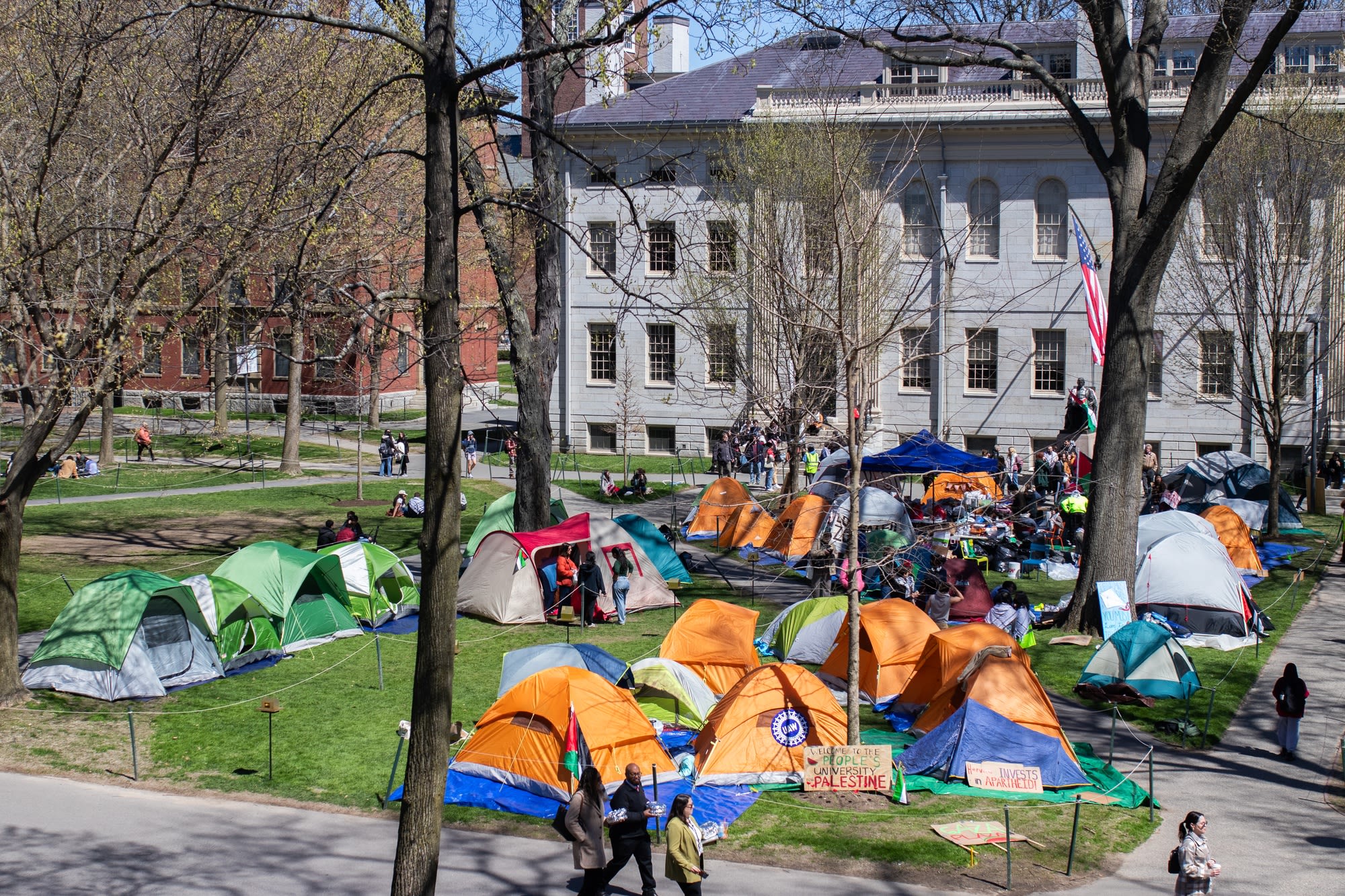 Harvard Places Encampment Protesters on Involuntary Leaves of Absence | News | The Harvard Crimson