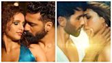 Vicky Kaushal-Triptii Dimri to Shahid Kapoor-Kriti Sanon: Celebs who got intimate on-screen with actors post-marriage
