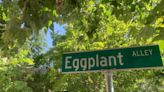 Eggplant Alley? Fat Alley? There’s a method to the madness for naming Sacramento backstreets