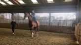 ‘Dressage is in trouble’: where is the line between horse abuse and training?