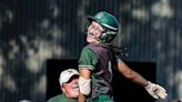 Dighton-Rehoboth softball turns to Cam Cloonan as its agent of chaos in Division 3 semifinal win over Norton - The Boston Globe