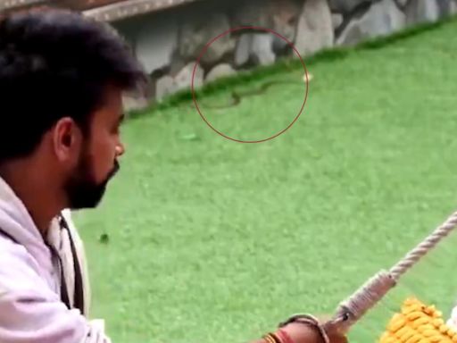 Bigg Boss OTT 3: Eagle-eyed fans spot snake near Lovekesh Kataria, see the viral clip