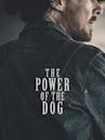 The Power of the Dog (film)