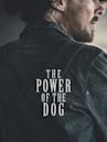 The Power of the Dog