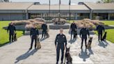 These 8 dogs are joining California Highway Patrol