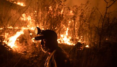 México registra 116 incendios forestales activos