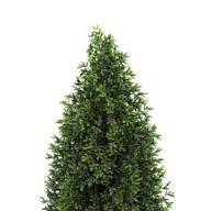 Live evergreen trees harvested for use as holiday decorations. Offer a natural, fresh pine scent that adds to the holiday ambiance. Each tree is unique, with variations in size, shape, and needle type.