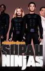 Supah Ninjas