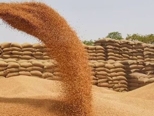 U.P. records low wheat procurement by govt agencies for 3rd year in a row