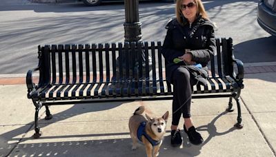 Woman wounded in stabbing while walking her dog near Union Station feeling 'lucky to be alive'