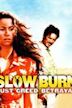 Slow Burn (2000 film)