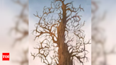 Test your vision: Can you spot the 3 hidden rabbits on this tree in just 8 seconds? - Times of India