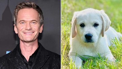 Neil Patrick Harris Introduces Bianca the Puppy as 'the Newest Member of Our Family'