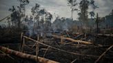 La Nación / Brasil sufre el rigor del clima: tras las inundaciones, ahora anuncian sequía “severa”