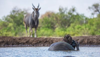 ‘I’m amazed I lived to tell the tale’: Award-winning photographer on a life spent in the wild