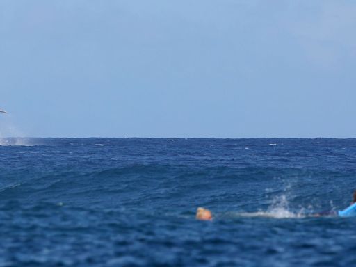 Whale interrupts Olympic surfing in spectacular fashion in Tahiti