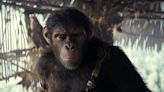 'Kingdom of the Planet of the Apes' reigns at the box office with $56.5 million opening | Chattanooga Times Free Press