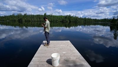 Invasive fish species dumped in Manitoba water bodies disrupting 'very delicate' ecosystems: fisheries manager | CBC News