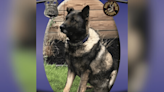 Retired Buffalo police K-9 that served alongside late Lt. Craig Lehner dies