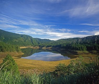 【旅遊省錢術】國家森林遊樂區7月起推優惠～150元暢遊宜花東國家森林遊樂區、抽阿里山栩悅號鐵道環島5日遊！