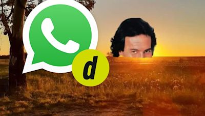 ¿Quieres enviar por WhatsApp los memes de Julio Iglesias por julio? Aquí los mejores